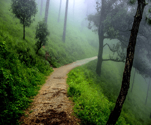 Gilbert Trail Kasauli — tourist place near Kasauli