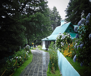 Kalatop Khajjiar Dalhousie — tourist place near Dalhousie