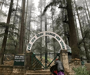 Manali Van Vihar National Park — tourist place near Manali