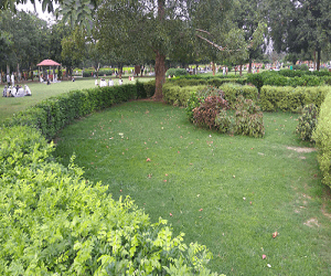 Shivalik Fossil Park Nahan Himachal — tourist place near Nahan